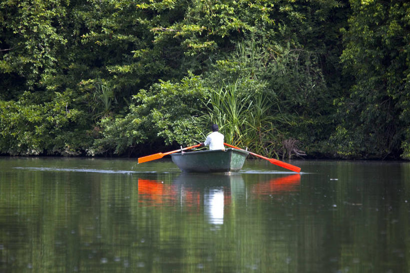 无人,横图,室外,野生动物,印度,亚洲,摄影,国家公园,朱鹭,卡纳塔克邦,印度次大陆,彩图