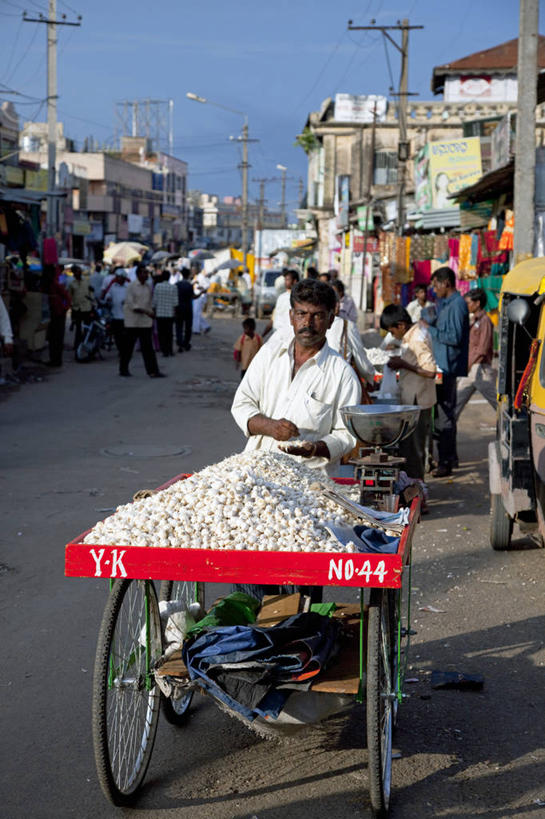 成年人,一个人,竖图,彩色,购物,印度,亚洲,仅一个女性,万寿菊,市场,货摊,花,摄影,五颜六色,色彩斑斓,挑选,五彩缤纷,印度文化,纱丽,卡纳塔克邦,五彩斑斓,五光十色,印度次大陆,迈索尔,女人,彩图