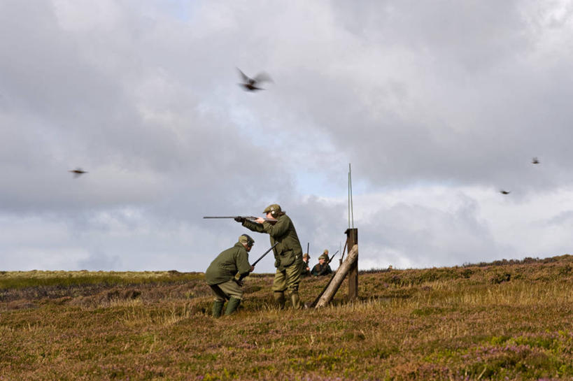 无人,设计师,建筑师,码头,竖图,白天,购物,桌子,港口,建筑,椅子,爱尔兰,欧洲,饭厅,欧盟,北,现代,橙色,颜色,摄影,爱尔兰共和国,伦斯特省,威克洛郡,设计,彩图,旅行,摆渡口,埠头,餐馆,渡口,渡头,港湾,海港,货运码头,咖啡馆,口岸,商港