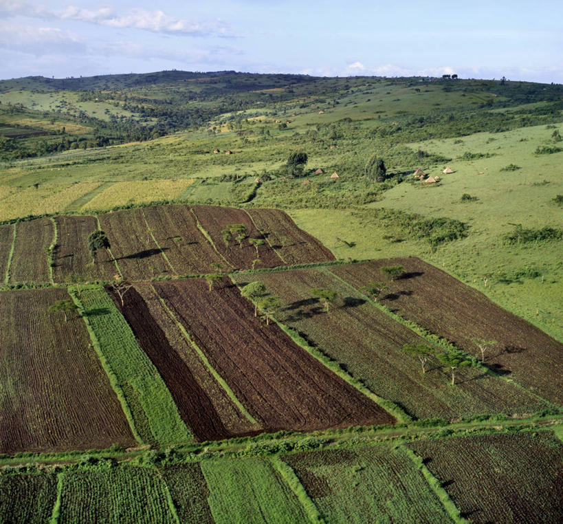 成年人,跑,横图,雨,暴风雨,车站,非洲,肯尼亚,倒,湿,伞,站台,首都,月台,社区,职业,摄影,奈洛比,男人,彩图,旅行,精力