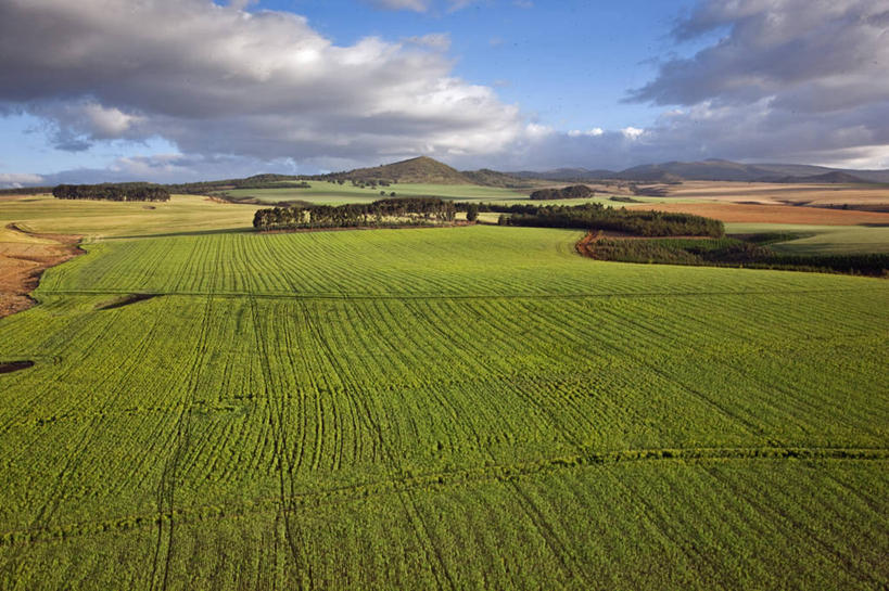 成年人,横图,室外,山,山脉,自行车,非洲,肯尼亚,地形,田地,车,脚踏车,骑,交通工具,职业,骑车,摄影,载具,肯尼亚山,金合欢树,男人,彩图,旅行,精力