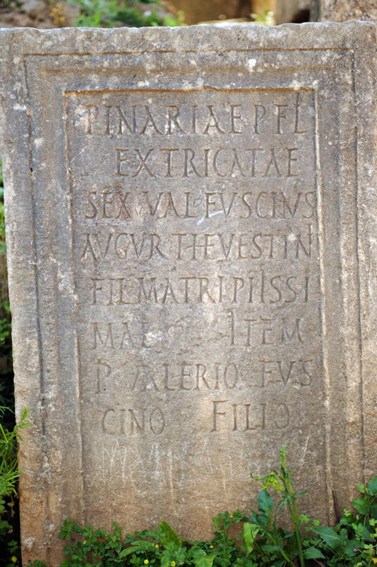 无人,竖图,非洲,阿尔及利亚,北,摄影,北非,墓穴,拉丁文,彩图,旅行,联合国教科文组织