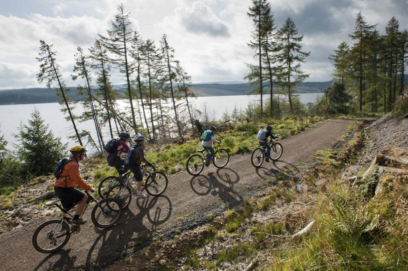 无人,菜园,横图,室外,蔬菜,英国,欧洲,地球仪,庭院,园艺,朝鲜蓟,食品,饮食,英格兰,摄影,彩图,旅行