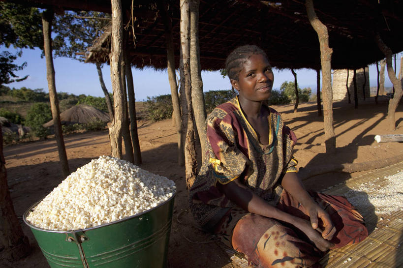 成年人,微笑,横图,室外,美景,非洲,马拉维,准备,工作,景观,乡村,面粉,食品,自然,社区,景色,摄影,瘦身,自然风光,问候,稷,女人,彩图,旅行,传统文化