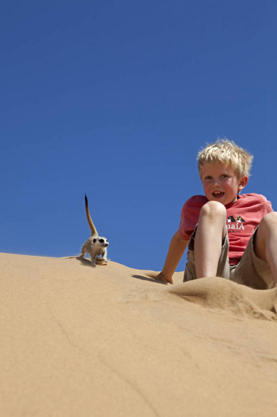 成年人,三个人,同事,跑,横图,锻炼,成功,运动,合作,团队,集体,信心,沙漠,非洲,纳米比亚,竞技运动,训练,队伍,车队,运输,摄影,活动,领导,成就,合伙,领袖,达马拉兰,马拉松赛跑,男人,触摸,彩图,旅行