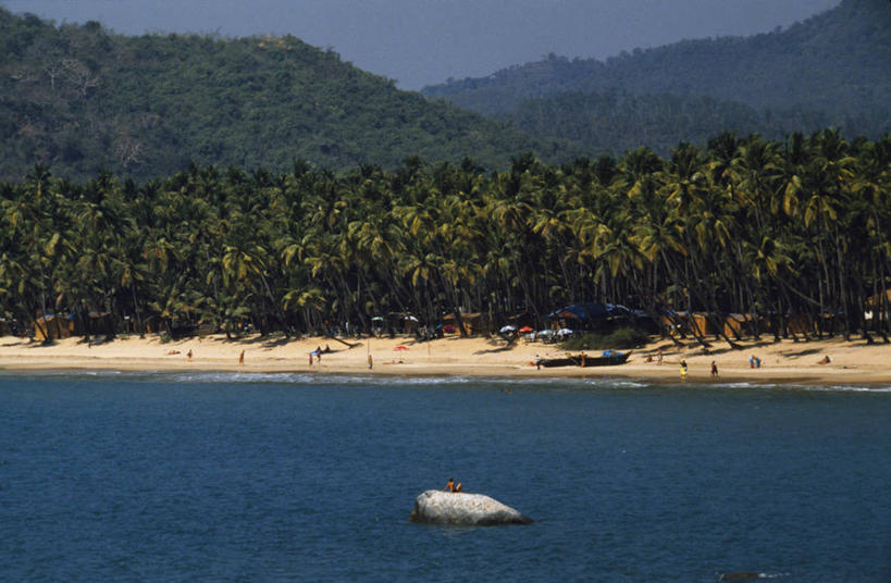 游泳,无人,横图,室外,度假,日光浴,海洋,水,棕榈树,印度,沙子,放松,摄影,宁静,华贵,果阿,海滩,彩图