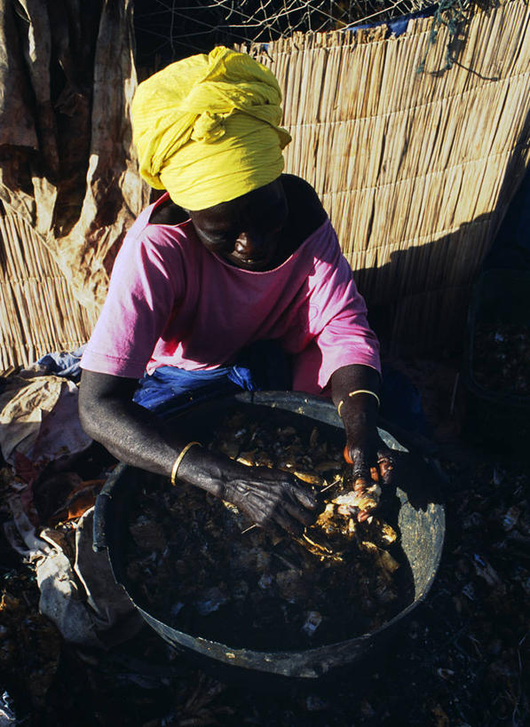 成年人,一个人,竖图,室外,白天,旅游,度假,塞内加尔,仅一个年轻女性,仅一个女性,仅一个人,行人,游客,游人,工作,头巾,鱼干,食品,T恤,休闲装,鱼类,路人,旅客,摄影,手镯,专心,干的,西非,过客,圣路易,烘干,年轻女性,女人,女性,非洲人,年轻人,休闲活动,海产,跪着,彩图,钓鱼,旅行,传统文化
