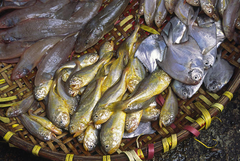 无人,横图,彩色,消费,渔业,香港,亚洲,小贩,篮子,食品,市场,社区,摄影,五颜六色,色彩斑斓,清新,五彩缤纷,贸易,大屿山,五彩斑斓,五光十色,海产,彩图,旅行