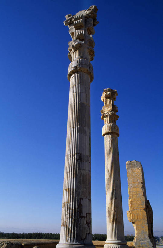 无人,宫殿,竖图,伊朗,柱子,地标建筑,摄影,彩图,柱头