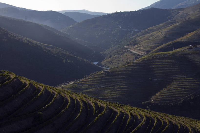 葡萄酒,无人,横图,室外,农业,日出,河流,山脉,风,葡萄,日光,葡萄牙,欧洲,地形,黎明,山谷,葡萄园,风景,摄影,收获,早晨,种植园,伊比利亚半岛,彩图,斗罗河