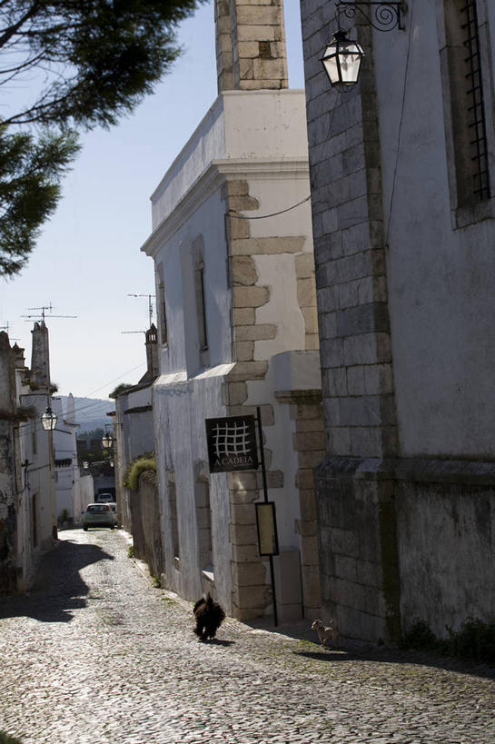 成年人,老年人,一个人,竖图,街道,葡萄牙,欧洲,仅一个女性,仅一个人,房屋,衣服,晾衣服,摄影,仅一个老年女性,悲痛,寡妇,阿连特茹,老年女性,女人,女性,彩图,传统文化