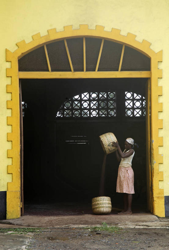 儿童,成年人,家,横图,街道,非洲,房屋,乡村,动物,社区,摄影,阿非利加洲,破败,圣普,普林西比,女人,彩图