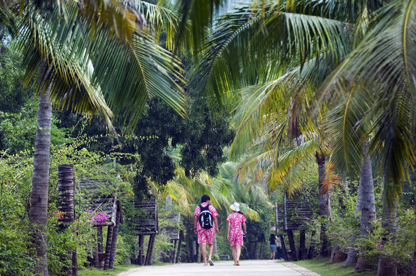 成年人,两个人,公园,横图,室外,白天,旅游,度假,棕榈树,亚洲,行人,游客,游人,路人,旅客,树,衣服,粉色,绿色,摄影,海南岛,过客,彩图,伴侣
