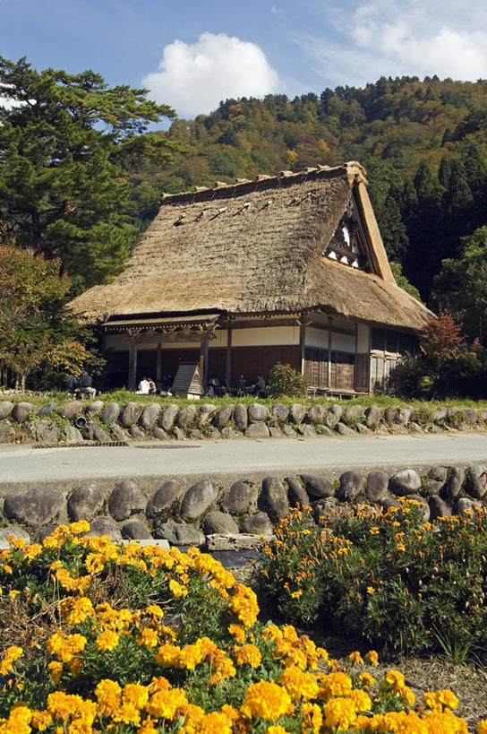 东方人,无人,家,竖图,室外,植物,建筑,日本,亚洲,日本文化,房屋,屋顶,屋子,草屋,乡村,地面,顶棚,住宅,花,黄色,自然,地标建筑,茅草屋,摄影,住房,东亚,本州,岐阜县,农舍,彩图,房子,茅舍,茅屋,小屋,名声,白川