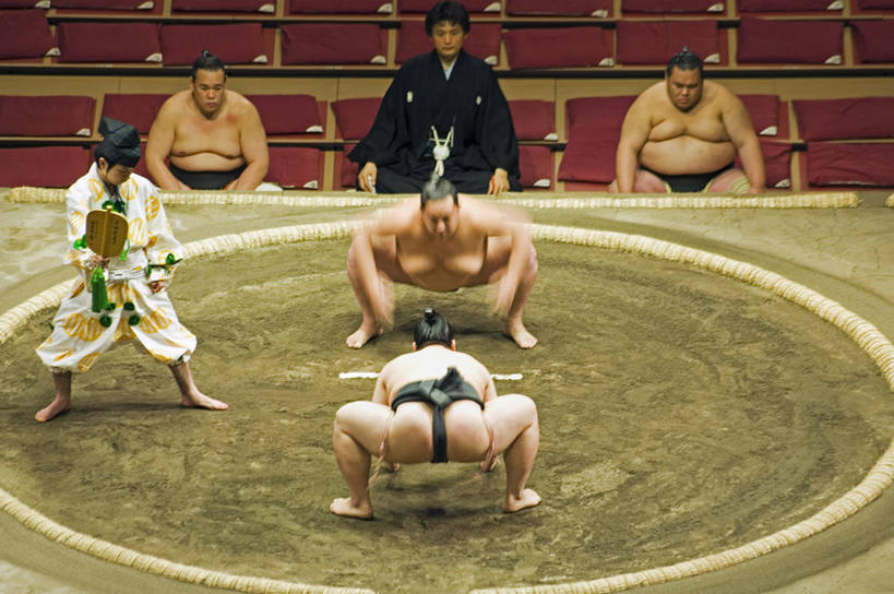东方人,成年人,横图,运动,竞争,摔跤,武术,东京,日本,亚洲,裁判,日本文化,首都,摄影,巨大,庞大,打斗,典礼,相扑,东亚,宏大,硕大,伟大,男人,彩图