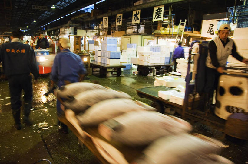 成年人,横图,运动模糊,城市,东京,日本,亚洲,市场,首都,社区,摄影,清新,东亚,本州,筑地市场,男人,海产,彩图