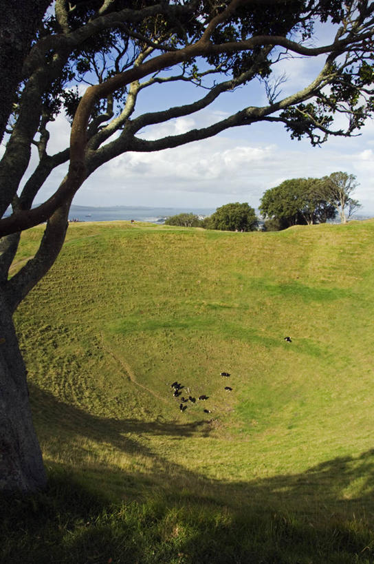 无人,竖图,室外,火山,日光,新西兰,阴影,地形,火山口,草,树,绿色,风景,摄影,澳大拉西亚,奥克兰区,活火山,彩图