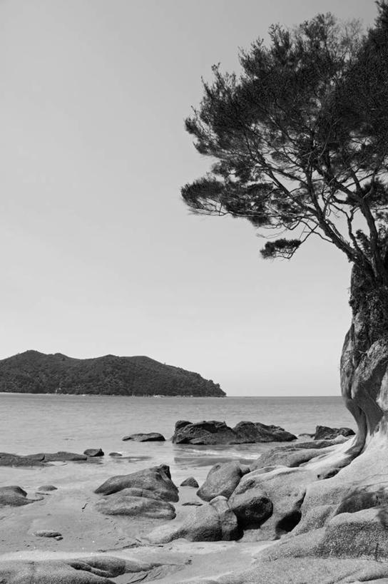 无人,竖图,室外,海洋,水,日光,新西兰,沙子,海岸线,海湾,风景,自然,摄影,国家公园,纯净,澳大拉西亚,新西兰南岛,天堂镇,尼尔森,海滩,彩图,罢工,美人