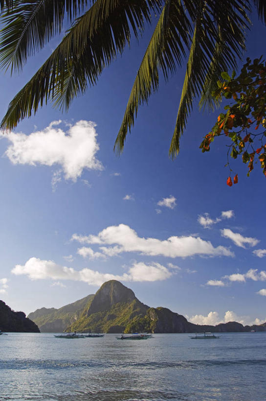 无人,竖图,室外,海洋,山,水,棕榈树,菲律宾,亚洲,海湾,树,风景,自然,摄影,东南亚,宁静,巴拉望,爱妮岛,天堂镇,海滩,彩图,罢工,美人