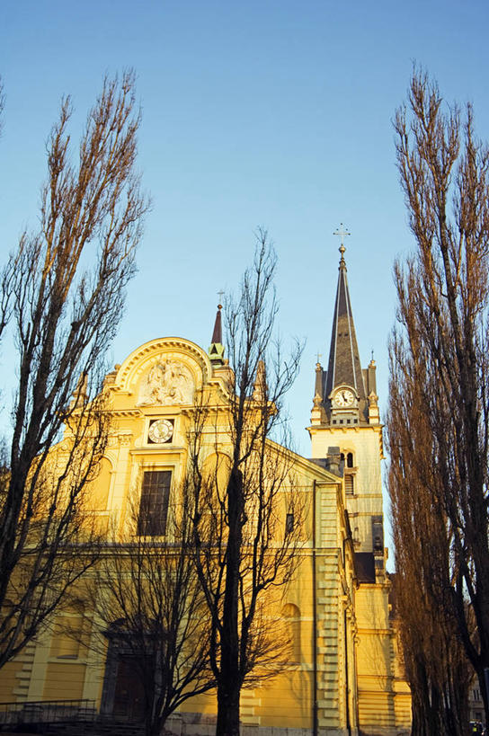 无人,教堂,竖图,室外,欧洲,斯洛文尼亚,尖顶,首都,树,摄影,宗教,基督教,宗教建筑,前南斯拉夫,卢布尔雅那,彩图