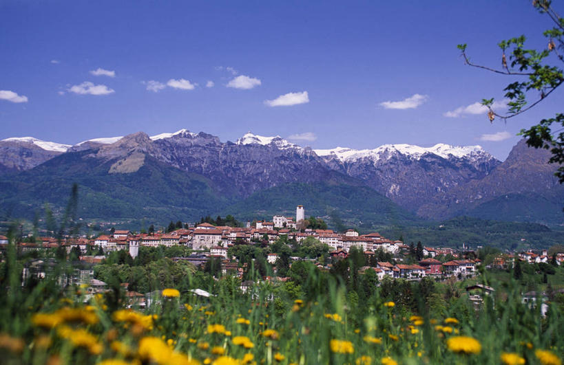 无人,横图,室外,草地,美景,山,山脉,雪山,意大利,欧洲,地形,景观,城镇,野花,黄色,自然,景色,摄影,宁静,自然风光,威尼托大区,多洛米蒂山脉,贝卢诺,彩图