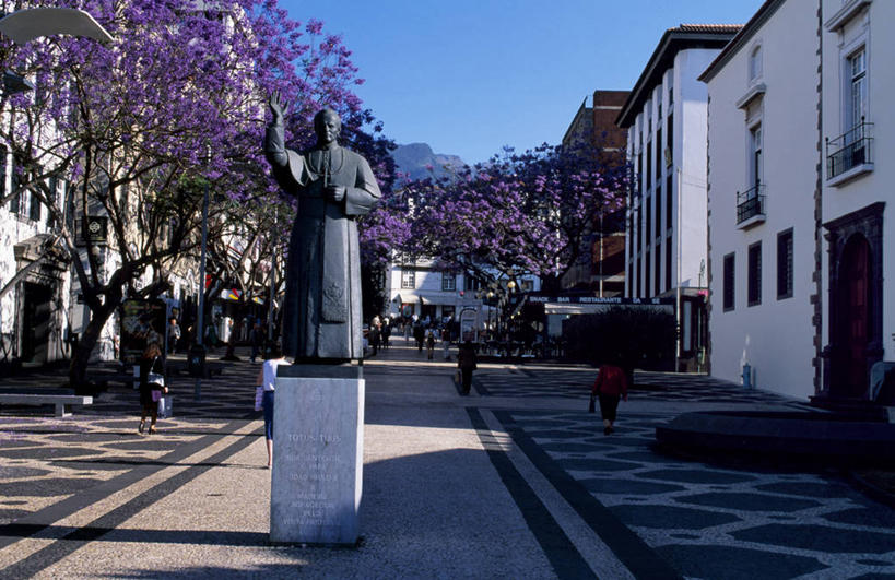 横图,街道,葡萄牙,欧洲,行人,节日,雕像,房屋,文化,祈祷,健康,大西洋,许愿,摄影,宗教,信仰,纪念,祈求,基督教,天主教,伊比利亚半岛,教皇,丰沙尔,马德拉群岛,大西洋群岛,平安,彩图