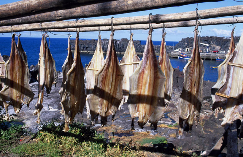 无人,码头,横图,烹饪,渔业,港口,葡萄牙,欧洲,切片,肉,料理,食品,海湾,菜肴,美食,肉类,鱼类,食物,大西洋,摄影,佳肴,肉食,伊比利亚半岛,马德拉群岛,大西洋群岛,烘干,海产,彩图,摆渡口,埠头,渡口,渡头,港湾,海港,货运码头,口岸,商港