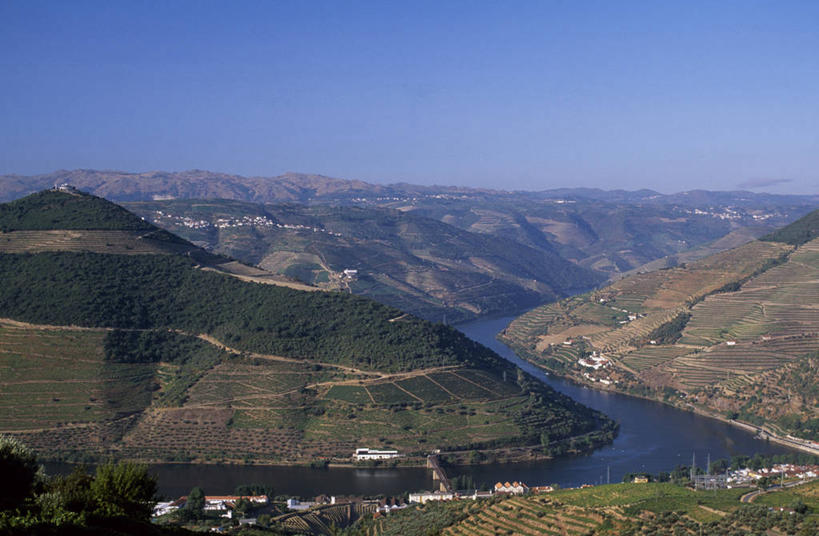 葡萄酒,无人,横图,室外,农业,梯田,葡萄,葡萄牙,欧洲,葡萄园,杜罗河,藤蔓,摄影,伊比利亚半岛,藤蔓植物,彩图,斗罗河