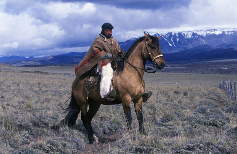 一个人,牛仔,农场,横图,室外,农业,山,山脉,雪,马,智利,地形,工人,衣服,绳子,南美,摄影,拉丁美洲,套索,皮套裤,员工,彩图,匠人,劳动者,体力工,传统文化