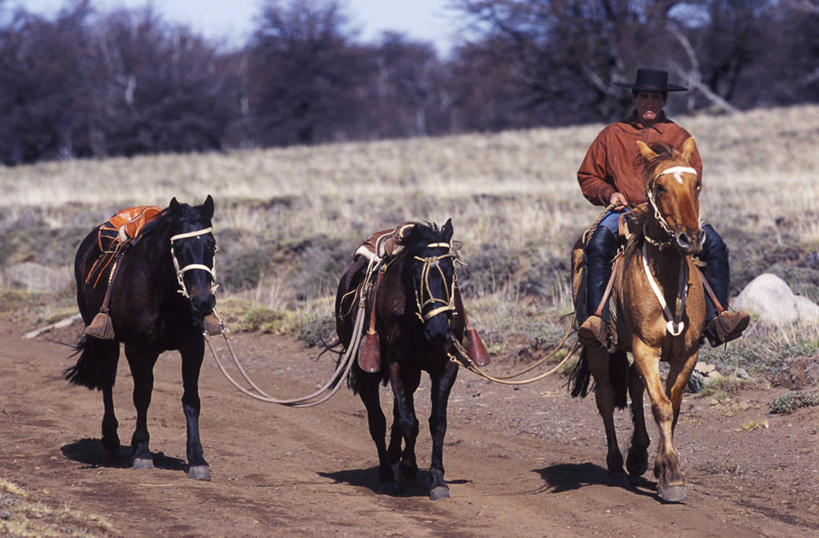 一个人,牛仔,农场,横图,室外,农业,山,山脉,雪,马,智利,地形,工人,衣服,绳子,南美,摄影,拉丁美洲,带领,套索,皮套裤,员工,彩图,匠人,劳动者,体力工,传统文化