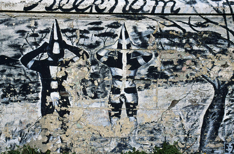 成年人,无人,横图,智利,壁画,南美,摄影,南美洲,拉丁美洲,作画,美洲,亚美利加洲,南亚美利加洲,智利共和国,男人,彩图