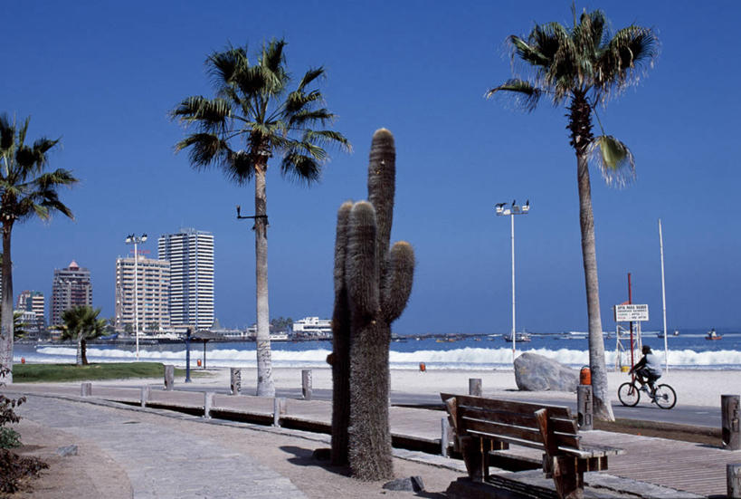 横图,室外,海浪,酒店,摩天大楼,自行车,仙人掌,棕榈树,智利,沙子,长椅,车,脚踏车,骑,交通工具,波浪,骑车,南美,摄影,拉丁美洲,载具,海滩,休闲活动,彩图,自行车道