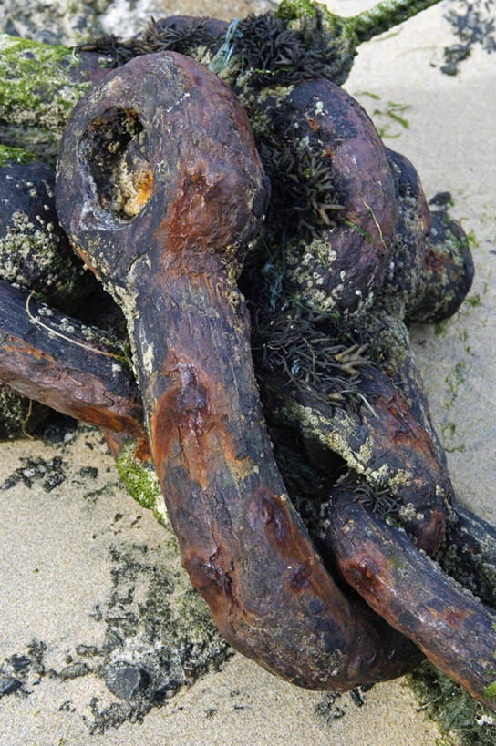 无人,竖图,室外,海洋,英国,生锈,海岸线,设备,英格兰,摄影,铁环,锁链,链条,腐蚀,侵蚀,腐烂,束缚,限制,装置,约束,腐化,锈迹斑斑,海滩,彩图,西南英格兰,链环,锚链,海上运输