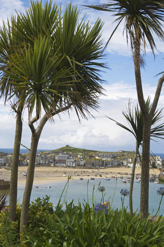 无人,竖图,室外,度假,海洋,棕榈树,英国,海岸线,城镇,海湾,渔船,英格兰,摄影,非洲百合,海滩,彩图,旅行,海港,西南英格兰