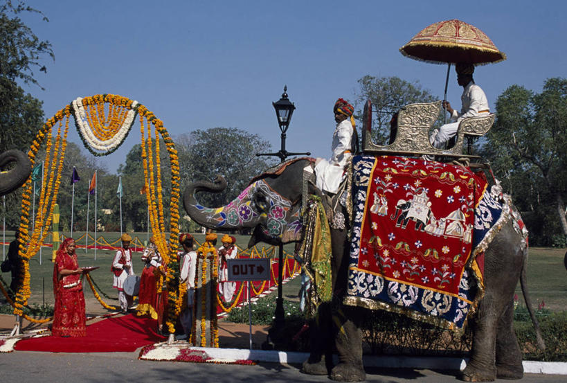 宫殿,横图,印度,乐队,覆盖,装饰,头巾,拱门,音乐,座位,衣服,摄影,亚洲象,音乐人,拉贾斯坦邦,斋普尔,象,彩图,传统服装,传统文化