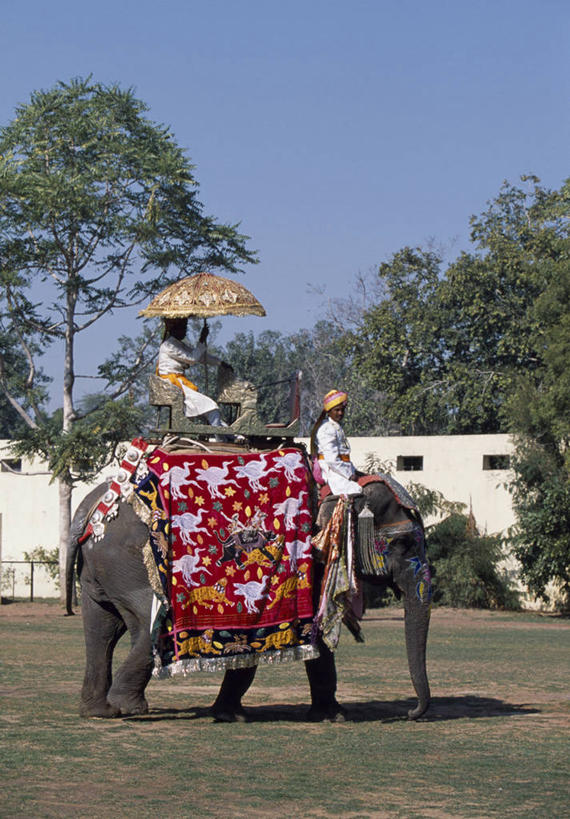 成年人,宫殿,竖图,彩色,运动,印度,裁判,装饰,头巾,摄影,五颜六色,明亮,色彩斑斓,作画,五彩缤纷,亚洲象,马球,拉贾斯坦邦,五彩斑斓,斋普尔,五光十色,男人,象,彩图,传统文化