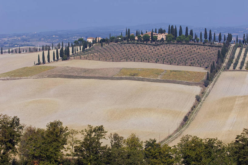 无人,农场,横图,室外,农业,美景,柏树,意大利,欧洲,景观,树,自然,景色,摄影,自然风光,托斯卡纳区,秋天,针叶树,彩图,丝柏