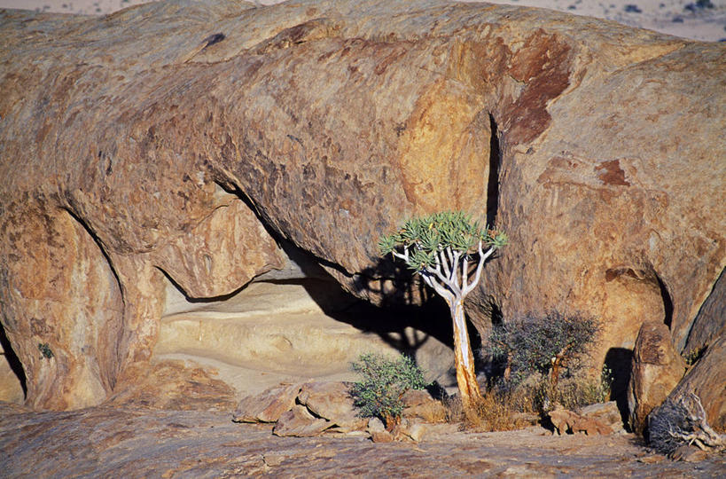 无人,横图,日落,沙漠,山,芦荟,非洲,纳米比亚,摄影,罗帷草,讷会,奴会,象鼻莲,象胆,纳米布沙漠,岩石,彩图,油葱
