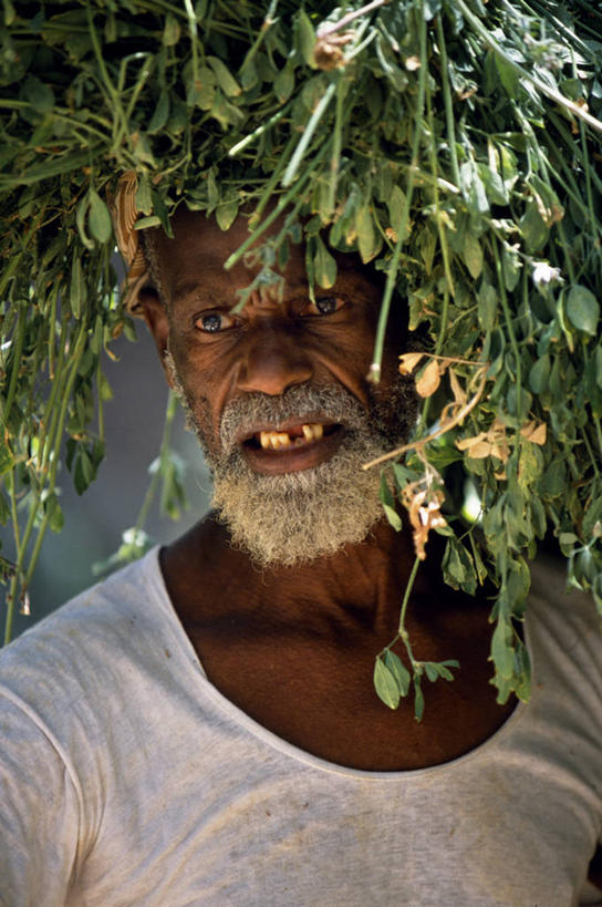 成年人,一个人,竖图,沙漠,帽子,阿曼,仅一个男性,树,社区,职业,摄影,绿洲,肖像,波斯湾,枣椰子,紫花苜蓿,海枣树,卢塞恩,男人,彩图