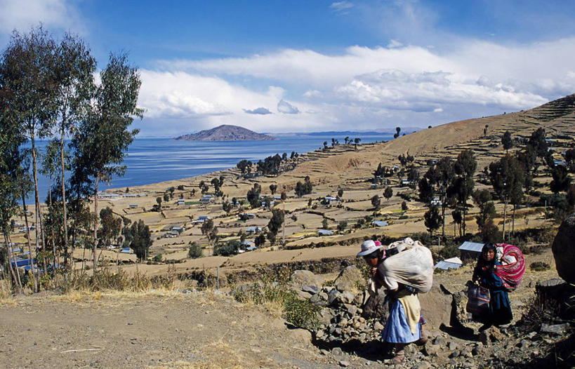 农民,农场,横图,室外,农业,梯田,湖,山,山脉,秘鲁,房屋,岛,海岸线,工人,社区,职业,南美,摄影,的的喀喀湖,农舍,员工,海滩,彩图,匠人,劳动者,体力工