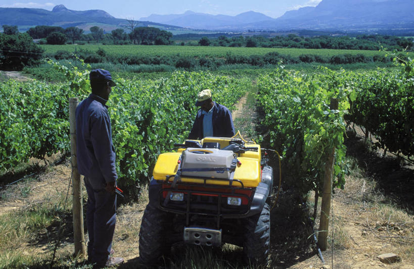 葡萄酒,两个人,农场,横图,室外,农业,农作物,机器,葡萄,非洲,南非,喷,飞溅,田地,葡萄园,工人,藤蔓,职业,机械,摄影,除草,拖拉机,喷雾器,藤蔓植物,西开普省,员工,彩图,匠人,劳动者,体力工