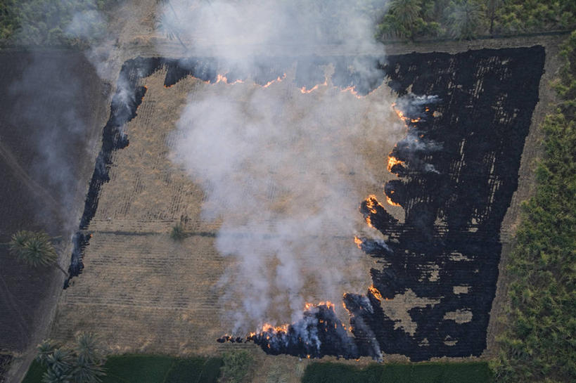 无人,农场,横图,室外,农业,农作物,天线,火,尼罗河,非洲,巴基斯坦,埃及,亚洲,田地,燃烧,烟,摄影,灰,中东,南亚,北非,埃及文化,巴基斯坦伊斯兰共和国,彩图,约旦河西岸地区,埃及卢克索