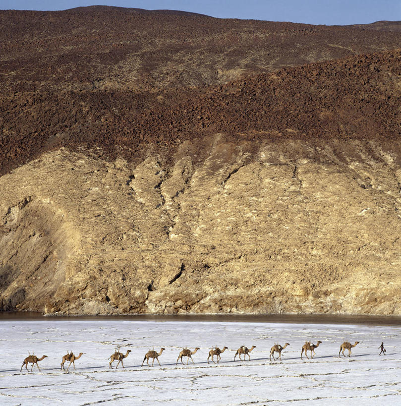 无人,竖图,室外,沙漠,山,山脉,火车,哺乳动物,野生动物,非洲,吉布提,阴影,地形,骆驼,动物,家畜,运输,摄影,驼峰,盐湖,跟随,盐滩,彩图,传统文化,游牧民族