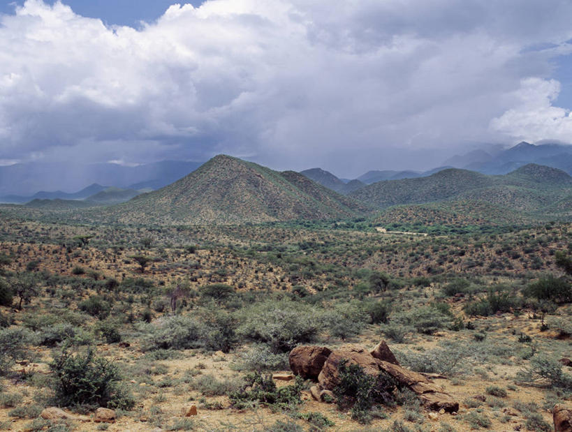 无人,横图,室外,雨,暴风雨,非洲,肯尼亚,地球,地形,摄影,干的,金合欢树,岩石,彩图