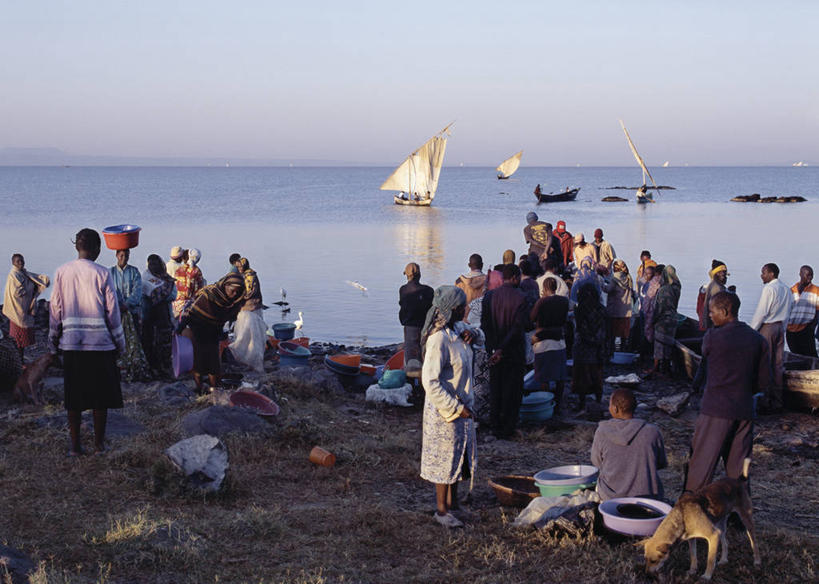 成年人,人群,横图,室外,消费,渔业,生产线,白鹭,非洲,肯尼亚,小贩,商品,市场,鱼类,帆,摄影,水禽,购买,清新,独木舟,忙碌,贩卖,贸易,维多利亚湖,小白鹭,女人,彩图,钓鱼,鱼市,基苏木,尼扬扎省