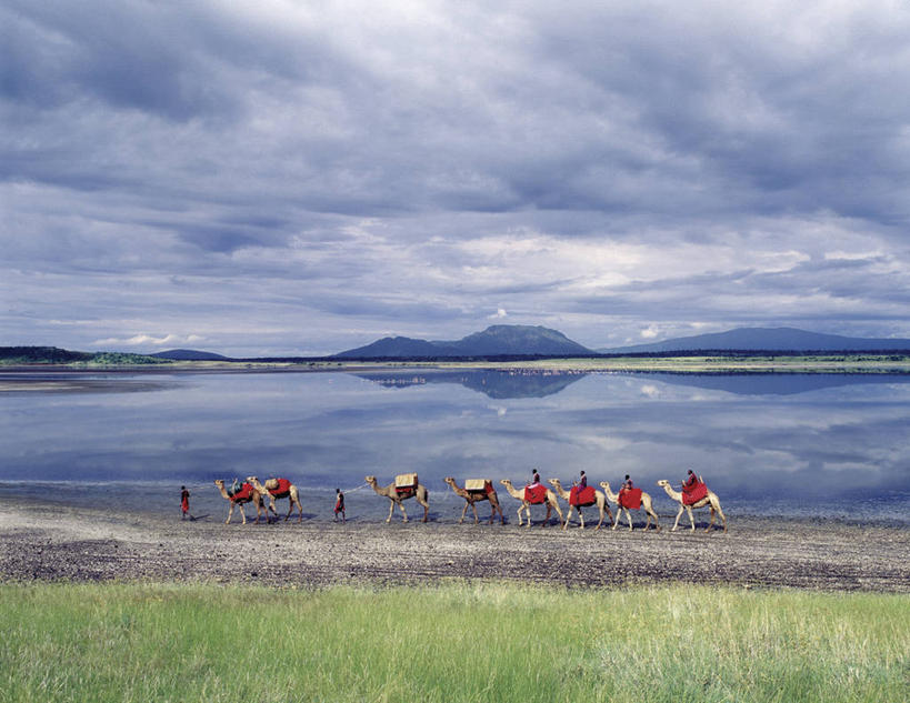 无人,导游,横图,室外,旅游,度假,湖,哺乳动物,野生动物,非洲,肯尼亚,行人,游客,游人,地形,云,骆驼,路人,旅客,红色,动物,职业,家畜,运输,摄影,运送,驼峰,装货,非洲文化,双峰骆驼,过客,马加迪湖,彩图,传统服装,马赛人