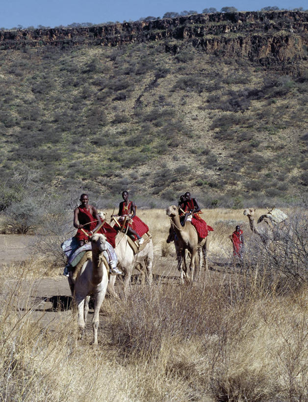 竖图,室外,旅游,哺乳动物,野生动物,非洲,肯尼亚,地形,骆驼,红色,动物,家畜,运输,摄影,峭壁,运送,驼峰,装货,非洲文化,双峰骆驼,彩图,传统服装,旅行,马赛人