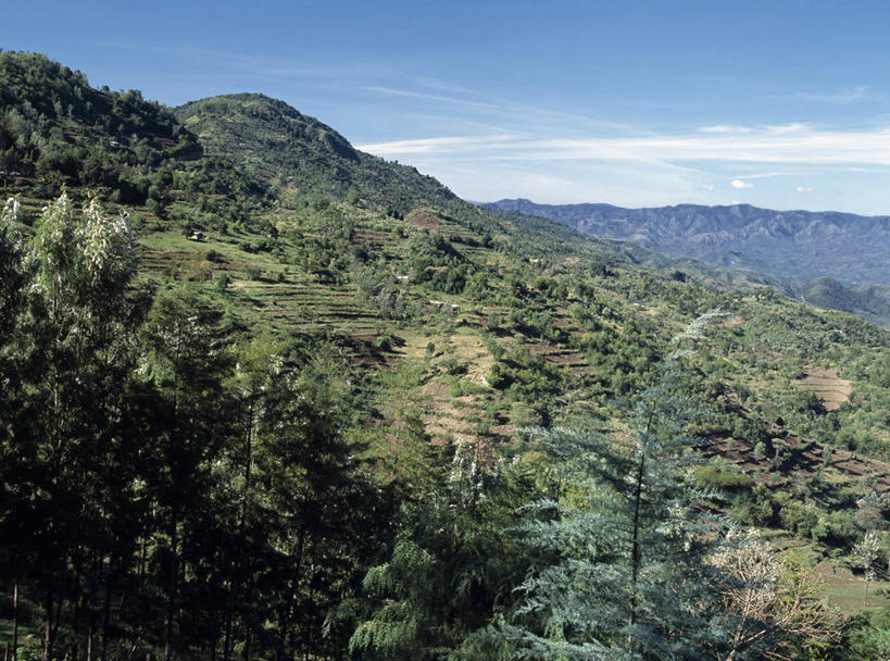 无人,农场,横图,室外,农业,梯田,农作物,山,山脉,非洲,肯尼亚,田地,山谷,摄影,彩图