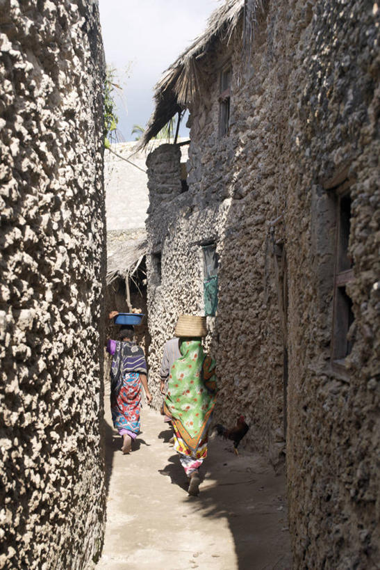 成年人,家,竖图,非洲,肯尼亚,珊瑚,房屋,屋顶,屋子,草屋,顶棚,馅饼,住宅,树,茅草屋,摄影,法式食品,女人,椰子树,彩图,房子,茅舍,茅屋,小屋,巷