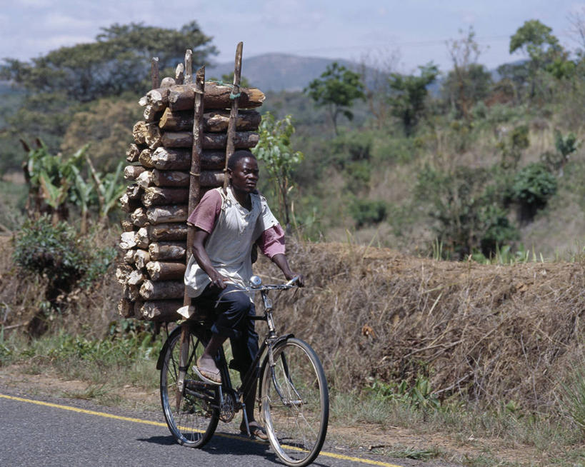 成年人,一个人,横图,自行车,非洲,马拉维,仅一个男性,小贩,木制,车,脚踏车,骑,社区,交通工具,骑车,夸张,平衡,运输,摄影,圆木,载具,销售,贩卖,男人,商人,彩图,柴火
